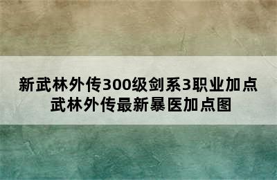 新武林外传300级剑系3职业加点 武林外传最新暴医加点图